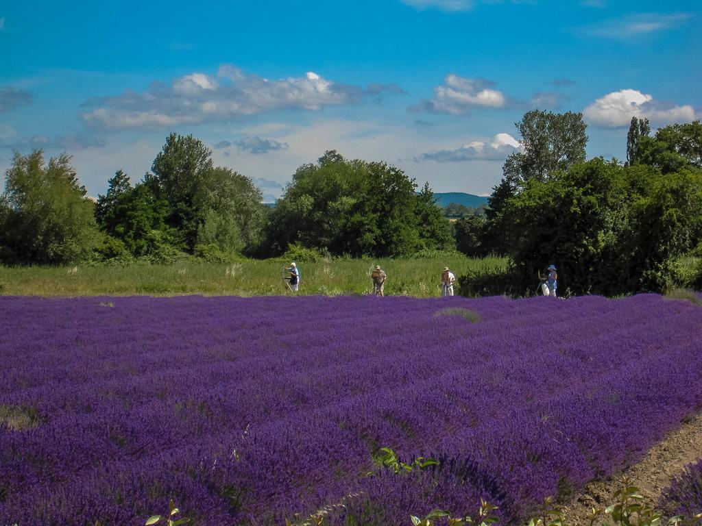 Hotel La Moutiere Colonzelle Zewnętrze zdjęcie